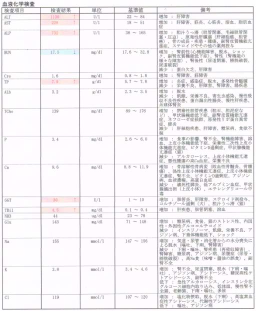 血液化学検査