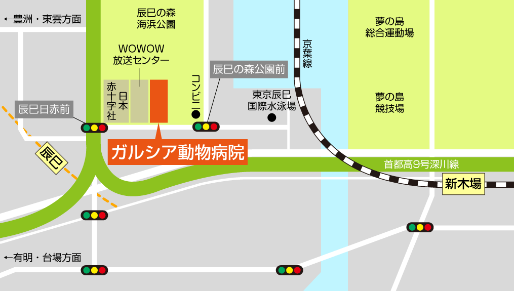 ガルシア動物病院地図